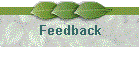 Feedback