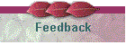 Feedback