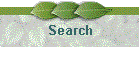 Search